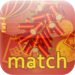 WCC Chinese New Year Match  - Memory Cards  - Learn Chinese New Year i